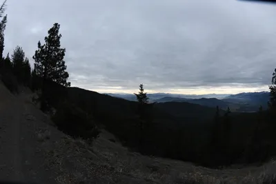 DSC_0119 (Large).JPG